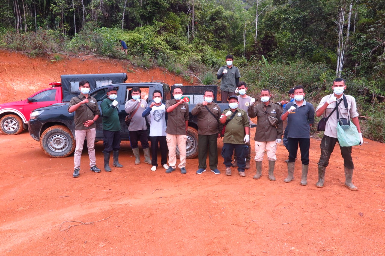 Orangutan release in Aek Latong Village, Sipirok District, South Tapanuli Regency (September 3, 2022)